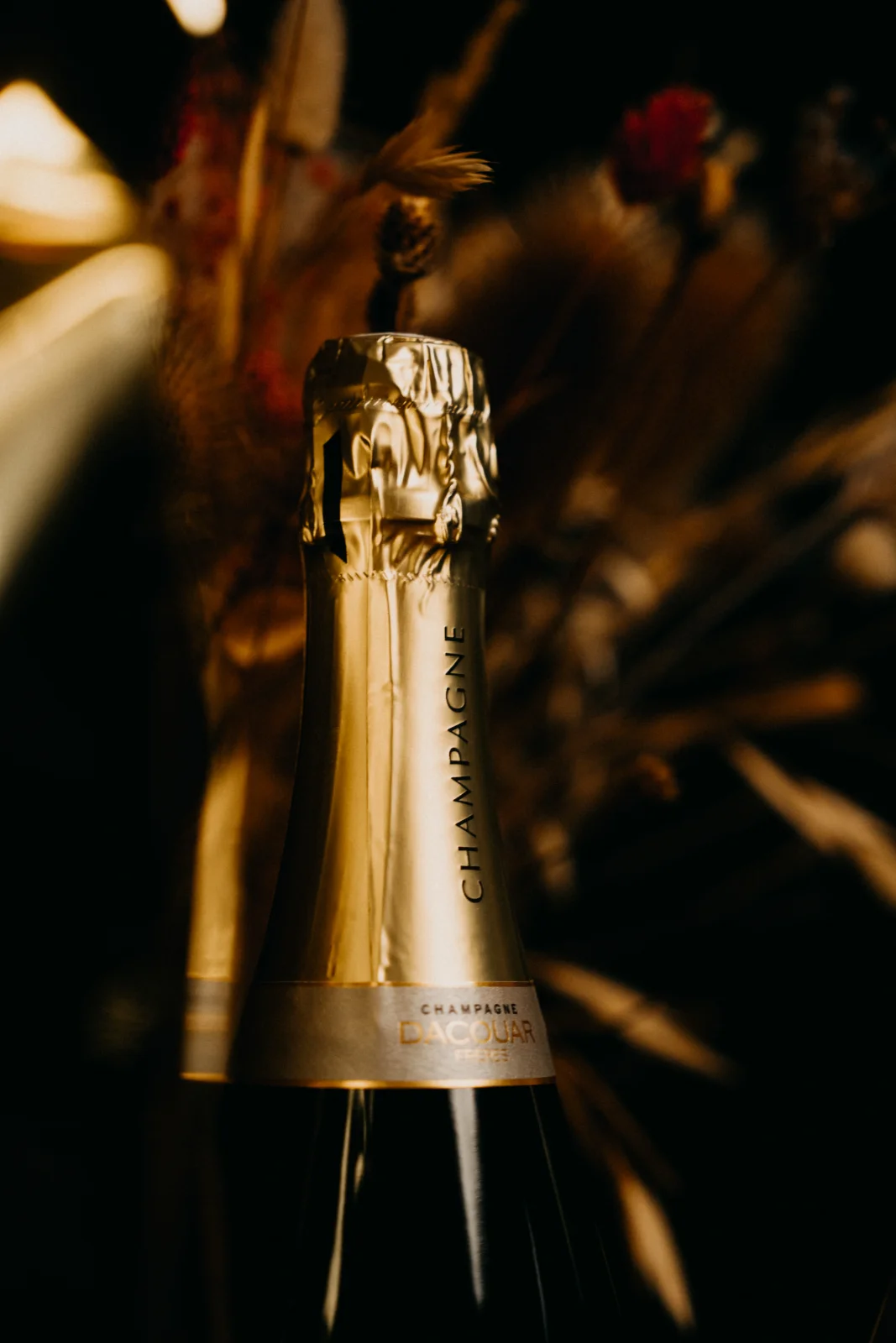 Dacouar Blanc de Noirs - Maison Dacouar - 3